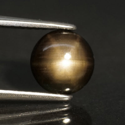 Sapphire | natural, black color, star effect, round/cabachon-cut, 7mm, 1.5ct - Eden Garden Jewelry™