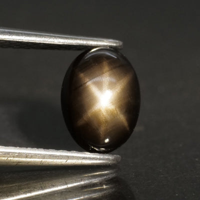 Sapphire | natural, black color, star effect, oval/cabochon-cut, 7.5x5.5mm, *1.6ct - Eden Garden Jewelry™