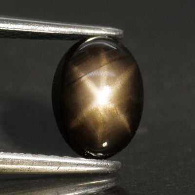 Sapphire | natural, black color, star effect, oval/cabochon-cut, 8x6mm, 1.8ct - Eden Garden Jewelry™