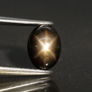 Sapphire | black, star effect, oval cut 7x5mm, 1.20ct - Eden Garden Jewelry™