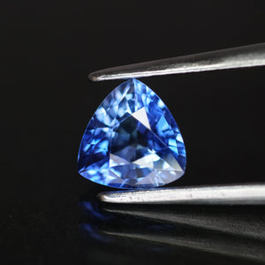Sapphire | natural, blue, trillion cut 6x6mm, VVS, 0.99ct, Ceylon - Eden Garden Jewelry™