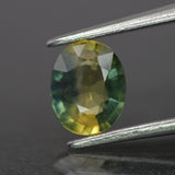 Parti Sapphire | natural, Tri-color: yellow, green & teal color, oval-cut, 7x5.5mm, 0.9ct, Madagascar - Eden Garden Jewelry™