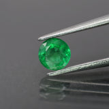 Emerald | natural, green color, round-cut, *5mm, *0.4ct - Eden Garden Jewelry™