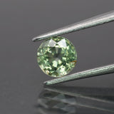 Sapphire | natural, yellowish green color, round-cut, *5.5mm, 1ct - Eden Garden Jewelry™