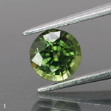 Sapphire | natural, green color, round-cut, *6.5mm, *1.3ct - choose yours - Eden Garden Jewelry™