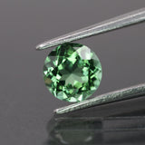 Tourmaline | natural, dark mint color, round-cut, *6mm, 0.9ct - Eden Garden Jewelry™