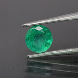 Emerald | natural, green color, round-cut, *5.5mm, 0.65ct - Eden Garden Jewelry™