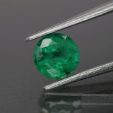 Emerald | natural, green color, round-cut, *6mm, *1ct - Eden Garden Jewelry™