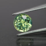 Sapphire | natural, greenish yellow color, round-cut, *6mm, 1.1ct - Eden Garden Jewelry™