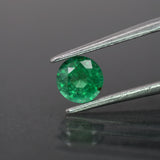Emerald | natural, green color, round-cut, 5mm, *0.4ct - Eden Garden Jewelry™