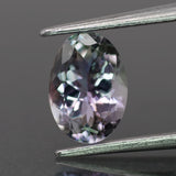 Tanzanite | natural, greenish purple color, oval-cut, *8.5x6mm, 1.3ct - Eden Garden Jewelry™