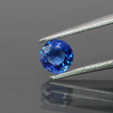 Sapphire | natural, dark blue color, round-cut, 5mm, 0.6ct - Eden Garden Jewelry™
