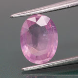 Sapphire | natural, pink color, oval-cut, *8x6 mm, 1.45ct, Mozambique