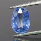 Sapphire | natural, light blue color, oval-cut, *8x6mm, 1.5ct - Eden Garden Jewelry™