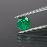 Emerald | natural, green color, round-cut, 5mm, 0.4ct - Eden Garden Jewelry™