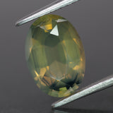 Opalescent Sapphire | natural, hazy waves: yellowish green color, oval-cut, 10x7mm, *2.5ct - Eden Garden Jewelry™
