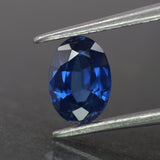 Sapphire | natural, blue color, oval-cut, *7x5mm, *1ct - Eden Garden Jewelry™