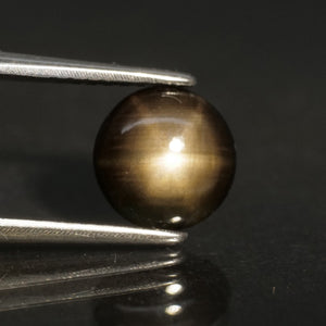 Sapphire | black, star effect, round cut 7mm, 1.30 ct - Eden Garden Jewelry™