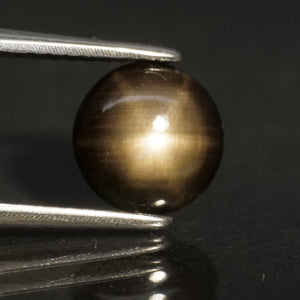 Sapphire | black, star effect, round cut 7.6mm, 3 ct - Eden Garden Jewelry™