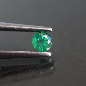 Emerald | natural, round cut 3mm - Eden Garden Jewelry™